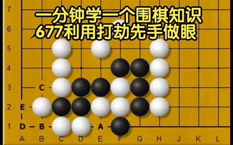 打劫 意思|围棋入门知识 — “打劫”